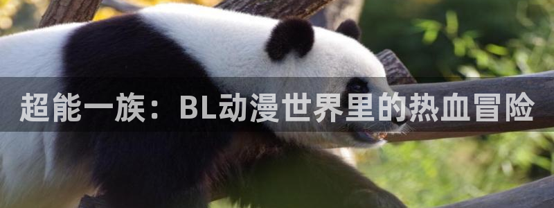 抖漫网址：超能一族：BL动漫世界里的热血冒险