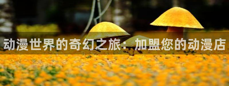 抖漫头像：动漫世界的奇幻之旅：加盟您的动漫店