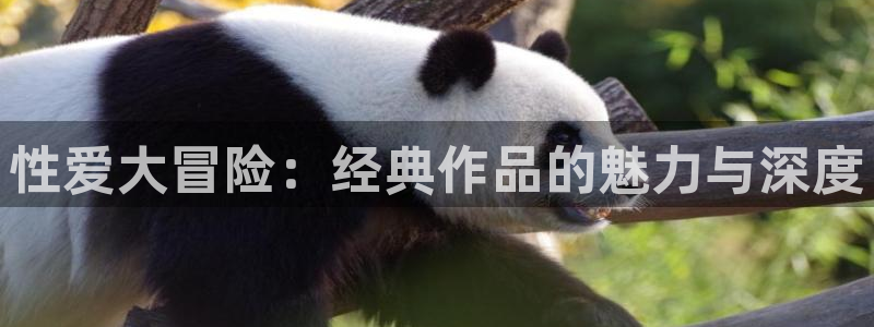 18禁抖漫：性爱大冒险：经典作品的魅力与深度